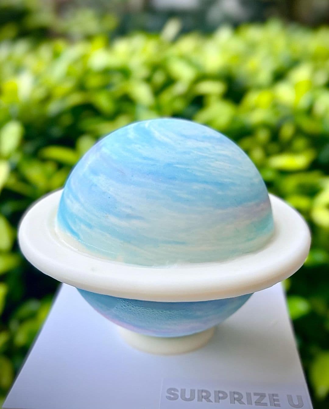 StellaLou 扑扑蛋糕