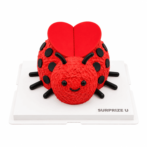 Jellycat Loulou Love Bug Styling Cake