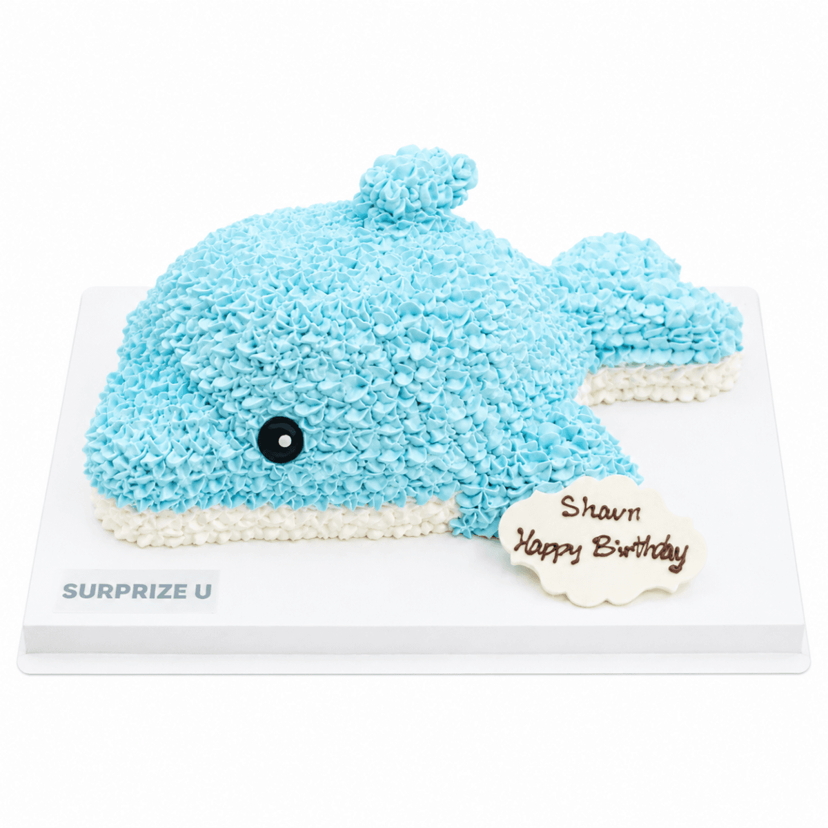 Dolphin 3D Styling Cake