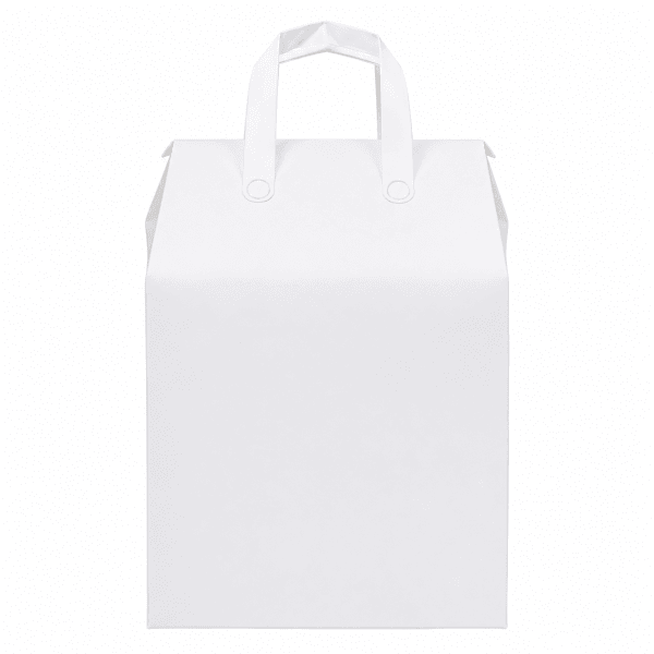 Insulated Bag w/ Ice Packs