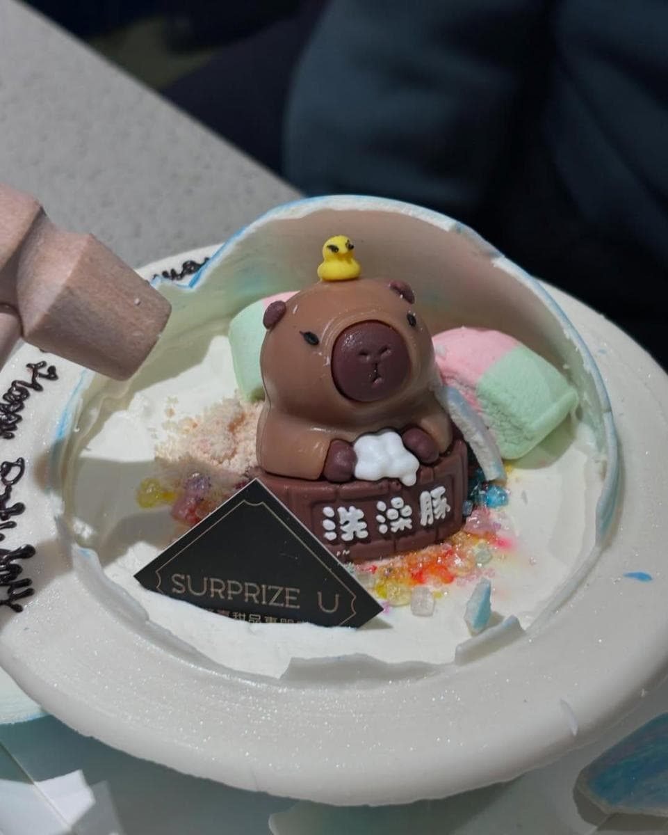 卡皮巴拉 水豚 Capybara 星球扑扑蛋糕