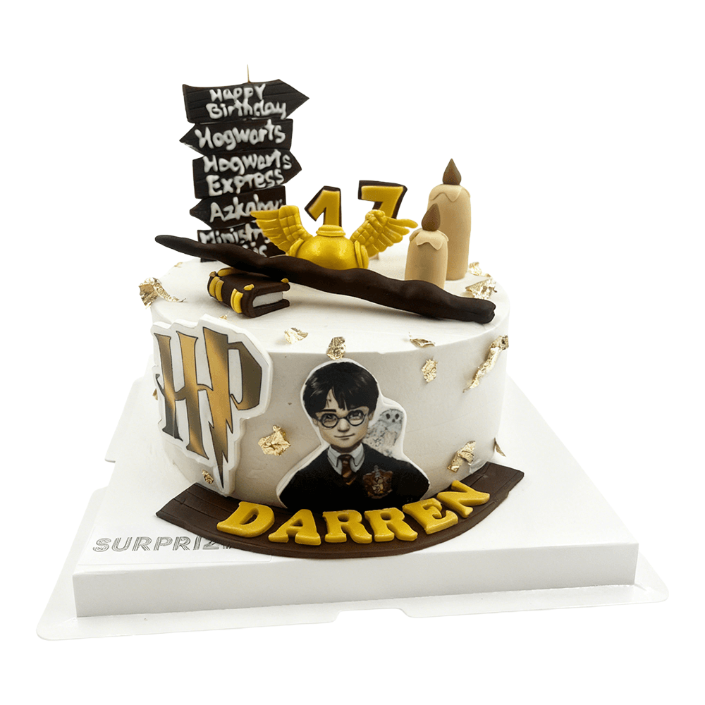 Harry Potter Styling Cake