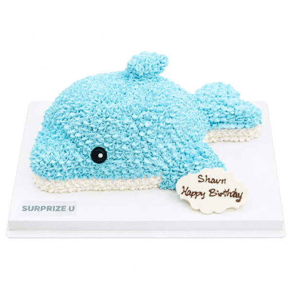 Dolphin 3D Styling Cake