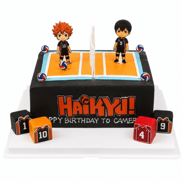 Haikyuu Styling Cake