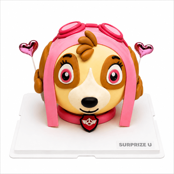 Paw Patrol Skye Styling Cake