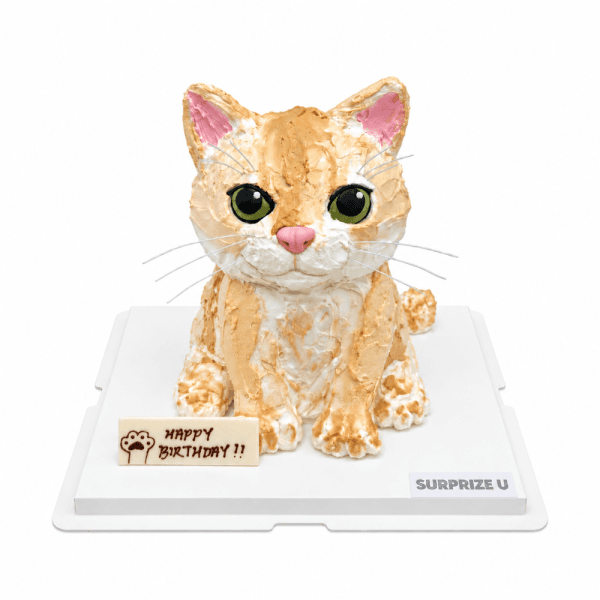 Ginger Cat 3D Styling Cake