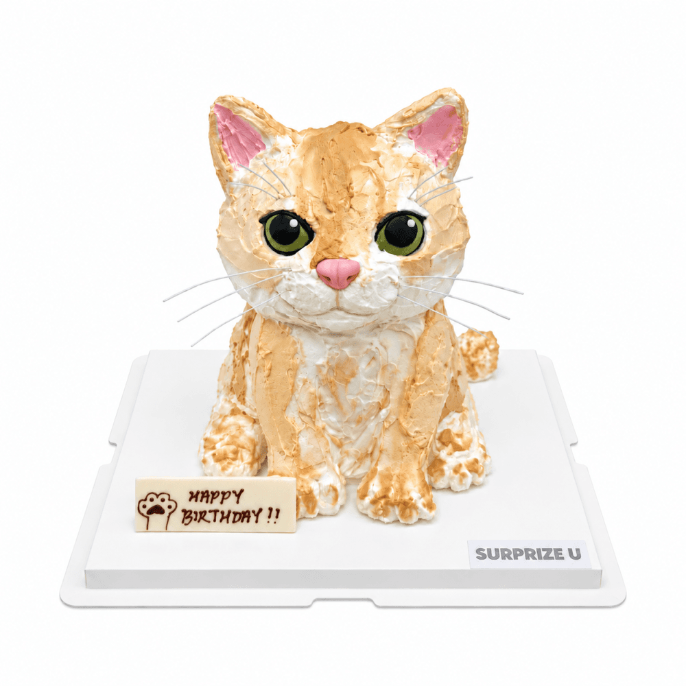 Ginger Cat 3D Styling Cake